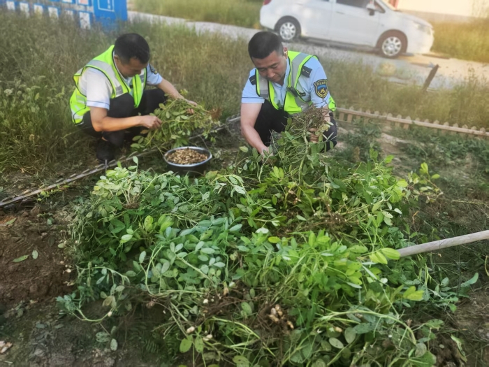 73638d06ca1acfc5c3ecbadfefa56ddd